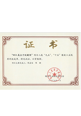 2005年1月MCA高分子促凝劑獲“九五、十五”科技成果獎